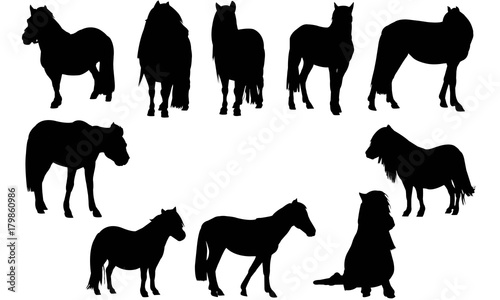 Fotografía Pony Silhouette Vector Graphics