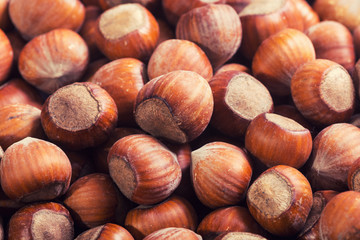 Canvas Print - Group of hazelnuts