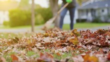 Woman Raking Leaves With Leaves In Foreground Move Right. A Low Angle View Of A Pile Of Leaves With A Woman Raking In The Background. Focus On Foreground Leaves Moving Right