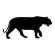 black silhouette of running tiger on white background of vector illustration