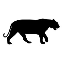 Black Silhouette Of Running Tiger On White Background Of Vector Illustration