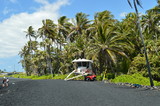 Fototapeta Na ścianę - Black Sand Beach In Hawaii
