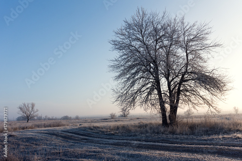 winter landscape of the first frost, frost on the trees, the branches in the ...