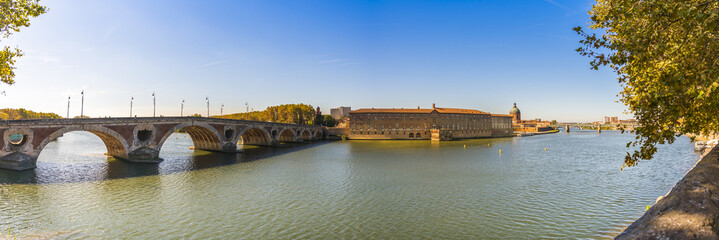 Wall Mural - Panoramique de la Garonne, le Pont Neuf et l'hotel Dieu à Toulouse, Occitanie en France