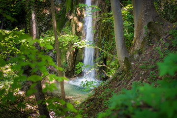 Wall Mural - Secret waterfall