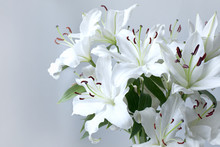 Beautiful Bouquet Of Lilies On A White Background