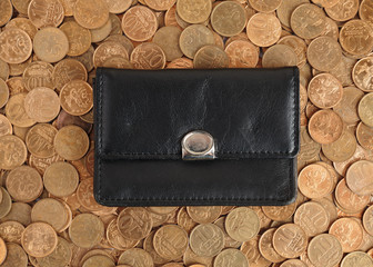 Leather Wallet on a background coins