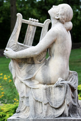 The Harpist