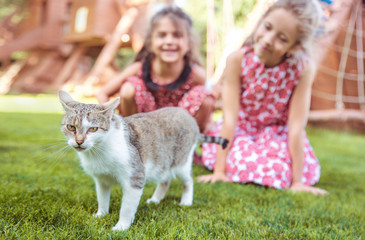 Two cheerful girls looking at the calm cat