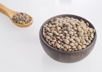 Lentil pardina - Lens culinaris