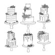 Vector sketch of trending wedding cakes with floral and fruit decoration isolated on a white
