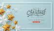 Merry christmas sale background Decorated with Gold and silver Stars.Vector illustration template.