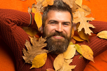 Wall Mural - man with autumn leaves and beard on happy face