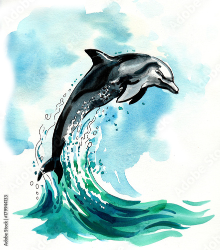 Plakaty delfiny  skaczacy-delfin