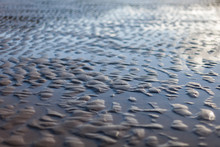 Low Tide Beach Textures