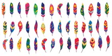 Vector Colored Feathers Set. Bird Feathers Painted In Colorful Patterns.White Background. For Web Design.