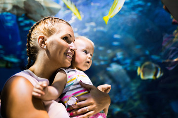 Wall Mural - Mother and her child watching sea life in oceanarium