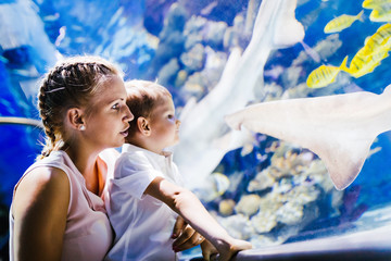 Wall Mural - Mother and son watching sea life in oceanarium