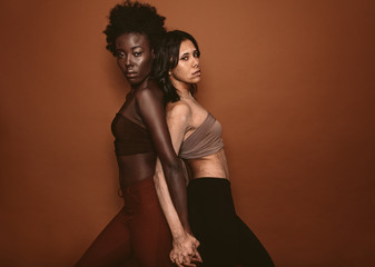 Wall Mural - two diverse woman standing together
