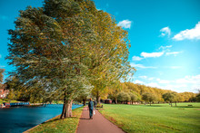 Fall Color Of River Cam In Cambridge