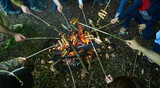 Fototapeta Boho - Cooking Hot-dog sausages over open campfire