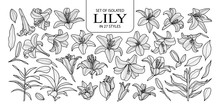 Set Of Isolated Lily In 27 Styles. Cute Hand Drawn Flower Vector Illustration In Black Outline And White Plane.
