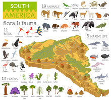 Isometric 3d South America Flora And Fauna Map Elements. Animals, Birds And Sea Life. Build Your Own Geography Infographics Collection