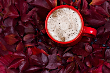 Cup with cocoa or coffee on a background of red autumn leaves