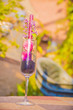 © gerardo - Composición de copa en un jardin florido y calido Ambiente tranquilo y relajado
