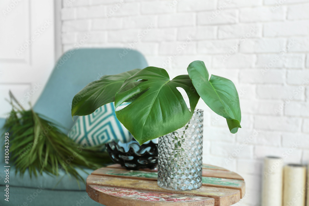 Monstera leaves in glass vase on table indoors