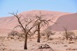 Landschaft Namibia -Wüste