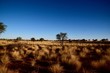 Landschaft Afrika - Wüste - Dürre - Fernsicht- View