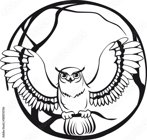 Black And White Owl Sitting On A Branch Tree Circular Design