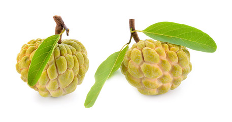 Poster - custard apple isolated on white background