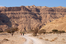 Unrecognized Couple Of Hikers Walking On The Road In Negev Desert.