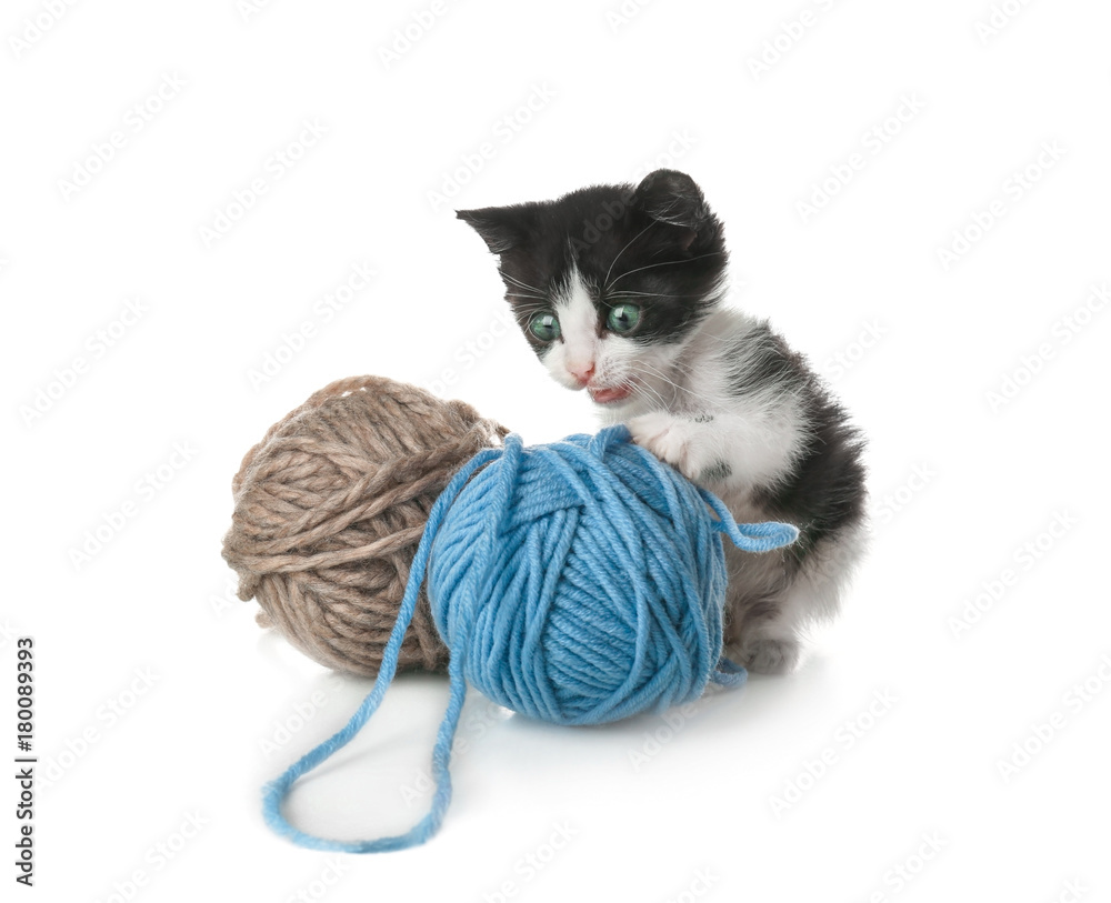 Cute funny baby kitten playing with ball of thread on white background