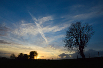 Poster - environnement climat air ozone pollution nature arbre paysage wallonie bois ciel air rechauffement nuit climatique lumiere meteo automne hiver soleil Gaume Ardennes