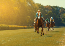 Several Racehorses With Jockeys During A Horse Race