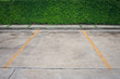 Empty space concrete parking lot and yellow line with green bush in the background. (Selective ocus)