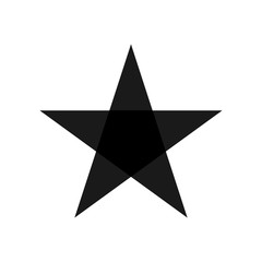Canvas Print - star - vector icon. star black in flat style