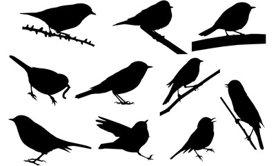 Wall Mural - Warbler Silhouette Vector Graphics