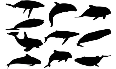 whale silhouette vector graphics