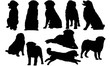 Bernese Mountain Dog Silhouette Vector Graphics