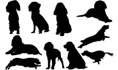 Wall Mural - English Springer Spaniel Silhouette Vector Graphics