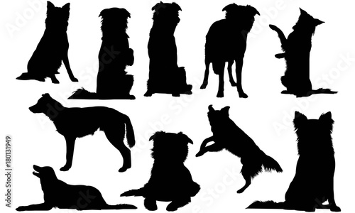 Download Border Collie Dog Silhouette Vector Graphics - Buy this ...