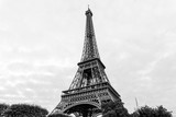 Fototapeta Boho - The Eiffel Tower (nickname La dame de fer, the iron lady),The tower has become the most prominent symbol of both Paris and France