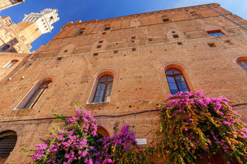 Wall Mural - Siena. Facades of old houses.