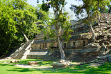 Fototapeta Zwierzęta - Copan ruins in the archeological site, Copan Ruinas, Honduras, Central America