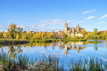 Wall Mural - Cathedral of Salamanca and bridge over Tormes river, Spain