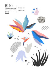 Wall Mural - Creative universal floral header in tropical style. Modern graphic design. Hand Drawn textures. Ideal for web, card, poster, cover, invitation, brochure. Vector. 